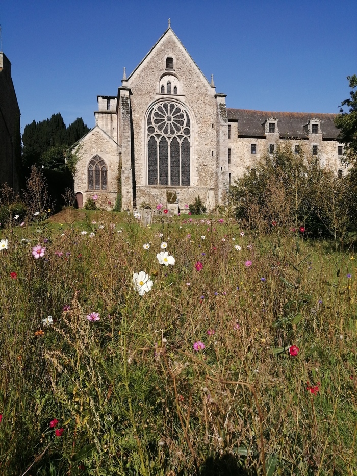 Lectures au jardin avec la Bibliothèque municipale de Dinan