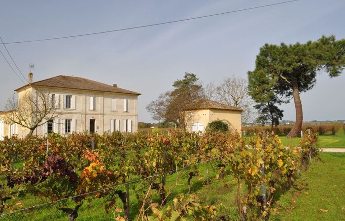 Visite guidée : Du raisin au vin avec dégustation