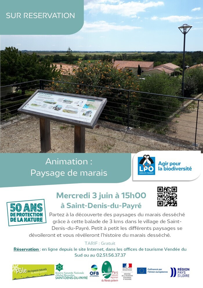 Animation : Paysage de marais