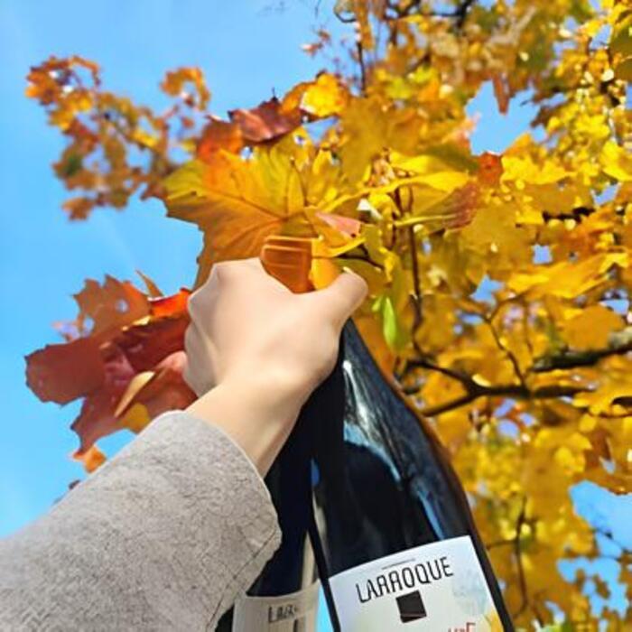 Le Domaine de Larroque vous ouvre ses vignes le 6 juin !