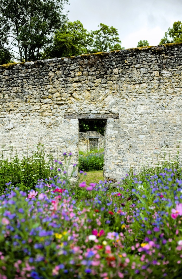 Installation : Couleurs au potager