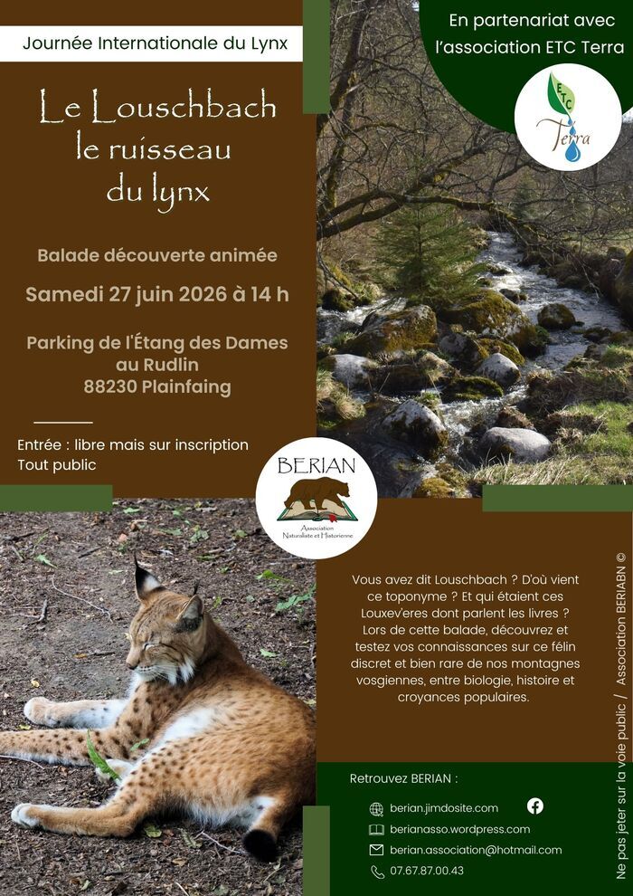 Le Louschbach, le ruisseau du lynx