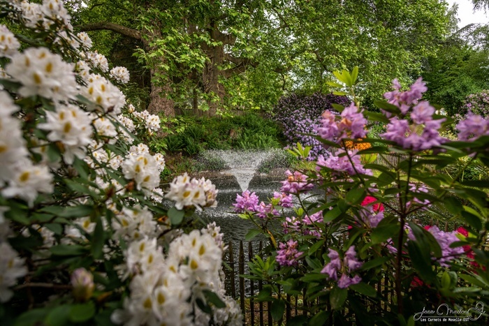 Visite historique et sensible d'un jardin à l'anglaise