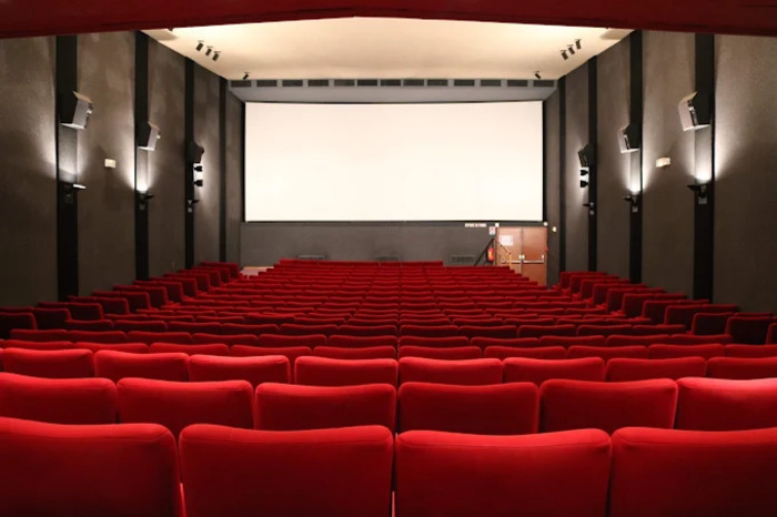 projection du "secret des mésanges " avec l'intervention d'un Archéologue