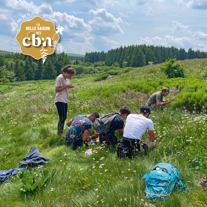 Élevage montagnard & prairies fleuries : ce que les plantes nous racontent - Puy-de-Dôme