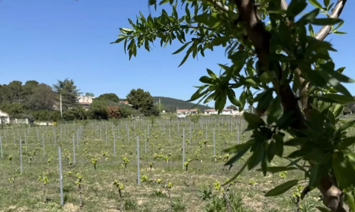 CLIMAT TOUR : Re-Gard croisé