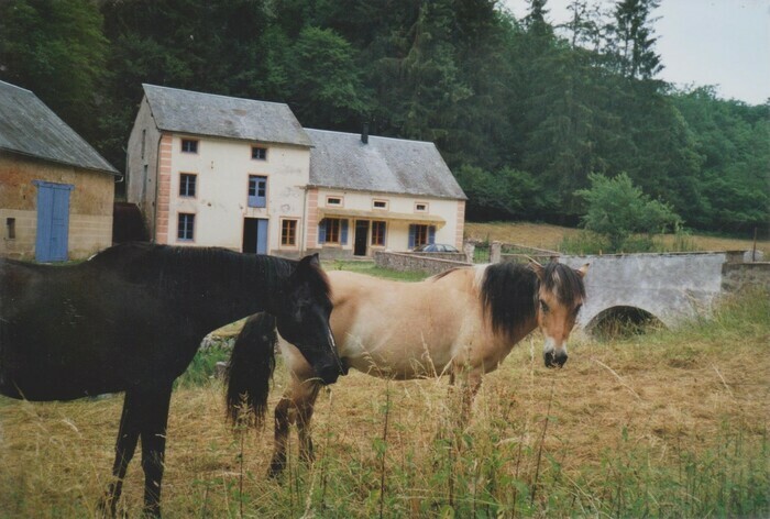 Visite du moulin de Marnay