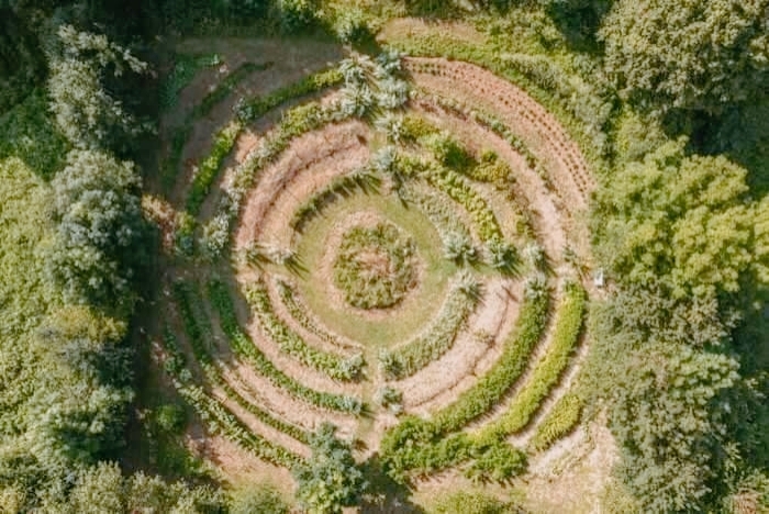Les Jardins de Jammes : cultiver, transmettre, accueillir