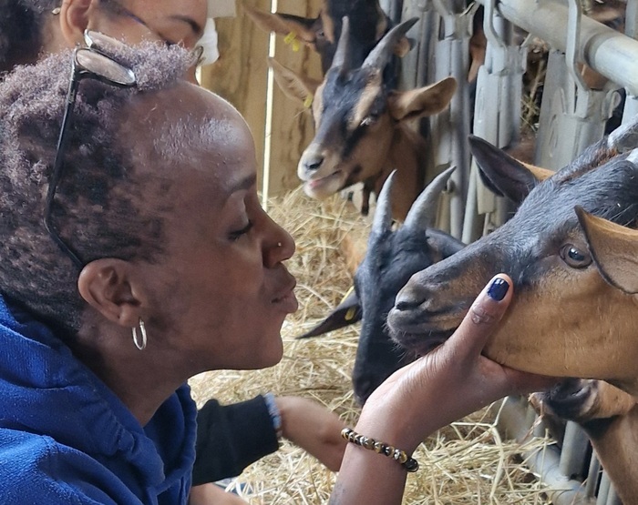 Un après-midi à la ferme