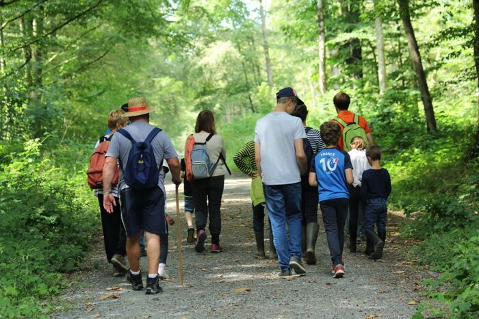 Sortie nature “Sur les traces des canidés sauvages”