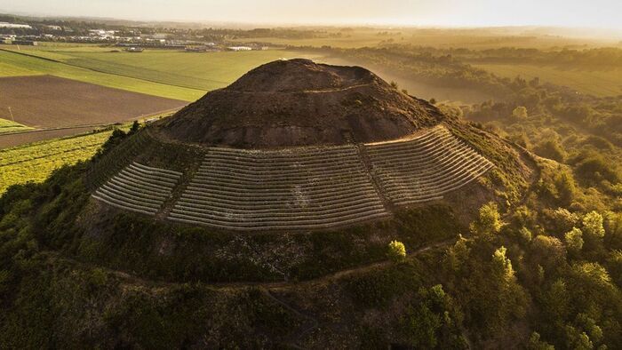 Cultivons la terre noire : du terril viticole aux jardins de la Cité des Électriciens