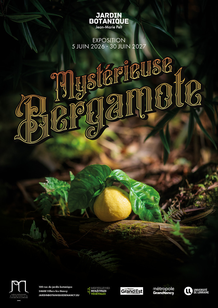 Bergamote • Week-end événement