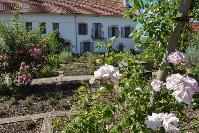 Médiation autour du jardin de curé de la ferme Courbet