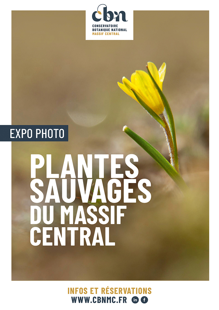 Expo photo "Plantes sauvages du Massif central" (43)