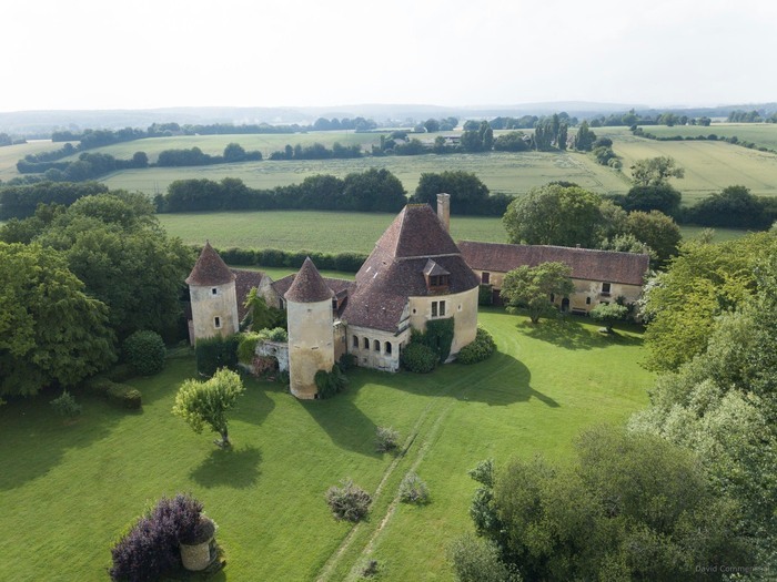 Visite guidée du manoir et de son arbre multi centenaire