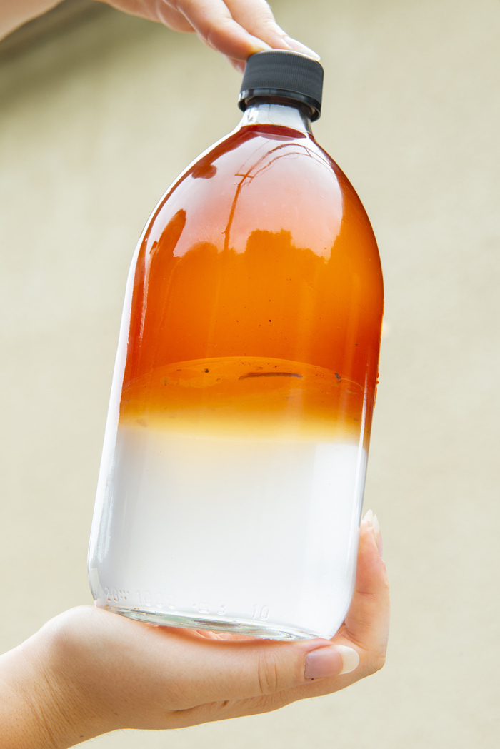 Atelier d'aromathérapie familiale dans une distillerie d’huile essentielle