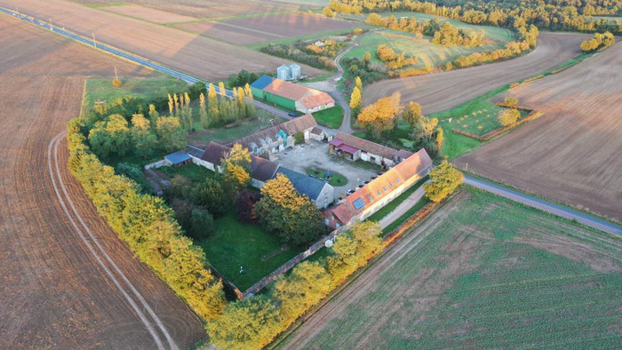 Balade sur la biodiversité à travers les champs