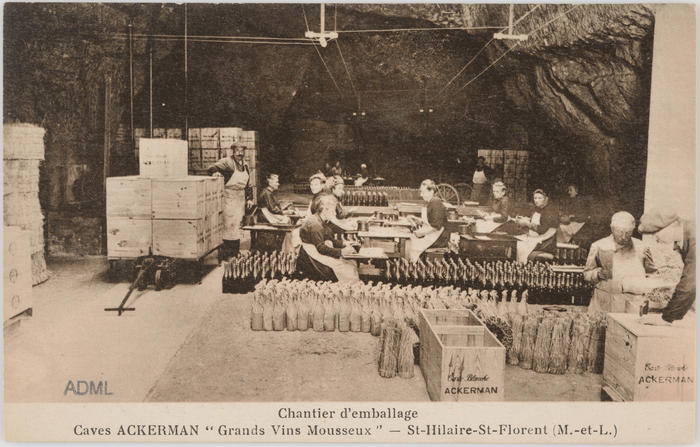 Archives et histoire des vins et de ses producteurs en Anjou-Touraine aux XIXe et XXe siècles