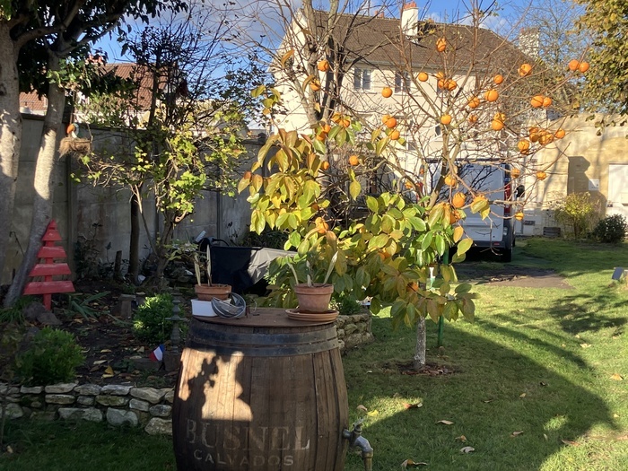 Art au jardin : visite libre du jardin Beau Soleil
