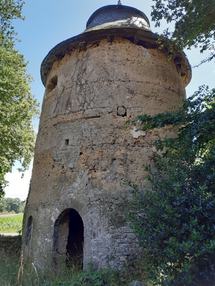Visite de la tour et alentours