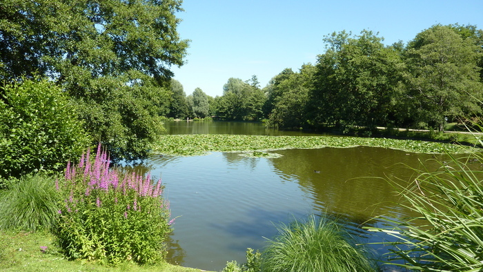 Atelier : si le parc de Rouelles m’était conté