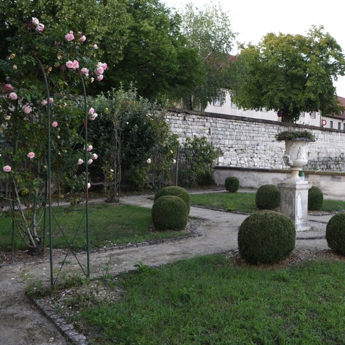 Entre terrasses et jardins