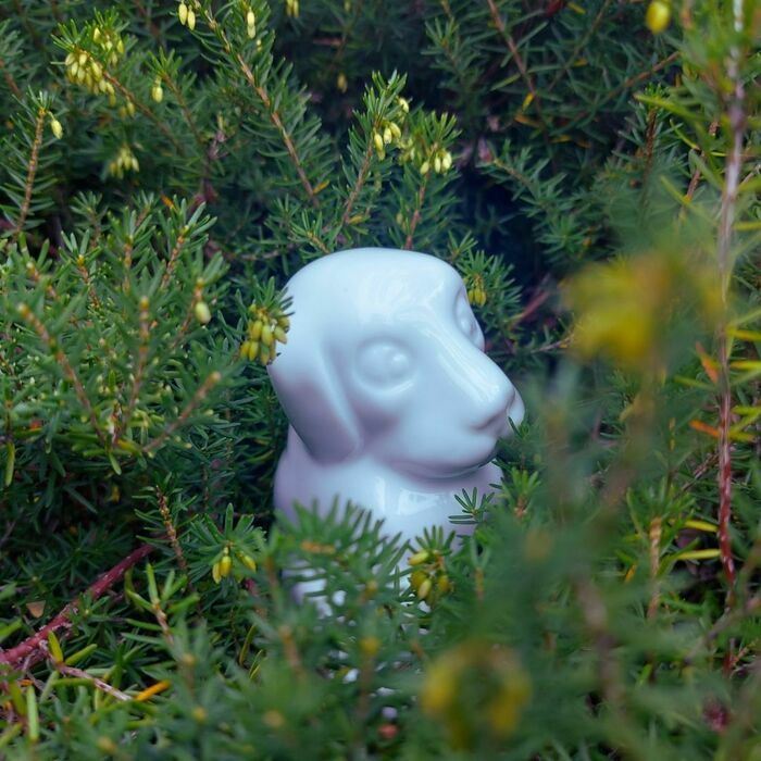 Mes premiers pas au musée - Un merveilleux jardin de porcelaine